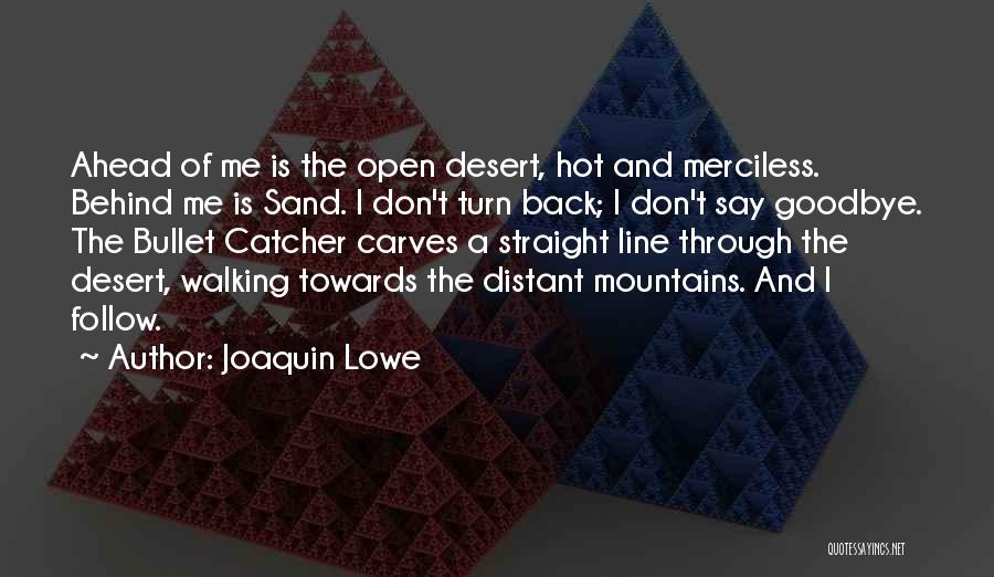 Walking Ahead Quotes By Joaquin Lowe