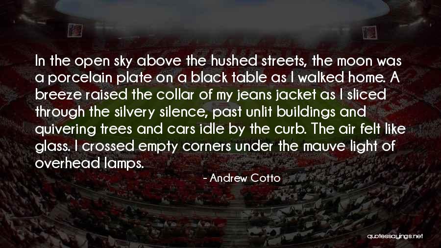 Walking Alone In The Night Quotes By Andrew Cotto Walking Alone In The Night Quotes By Andrew Cotto