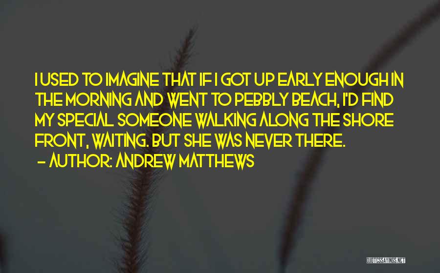 Walking Along The Shore Quotes By Andrew Matthews