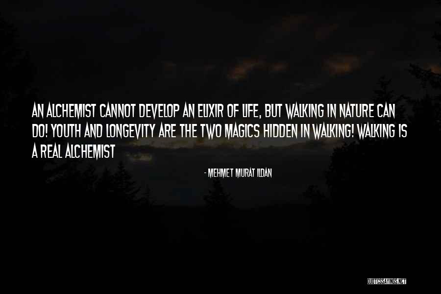 Walking And Nature Quotes By Mehmet Murat Ildan