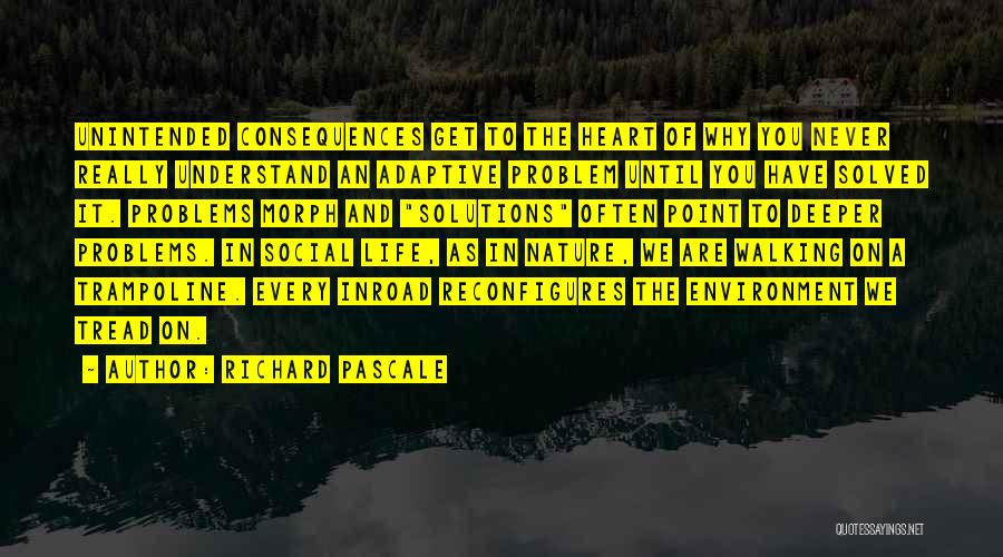 Walking And Nature Quotes By Richard Pascale