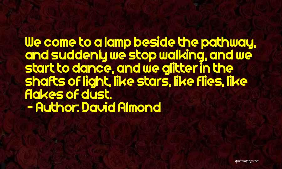 Walking Beside Someone Quotes By David Almond