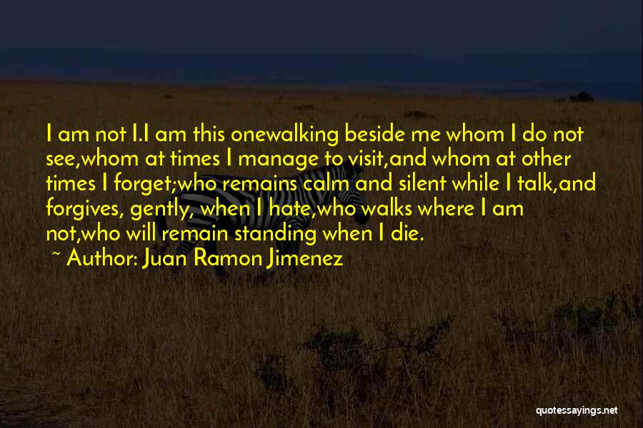 Walking Beside Someone Quotes By Juan Ramon Jimenez