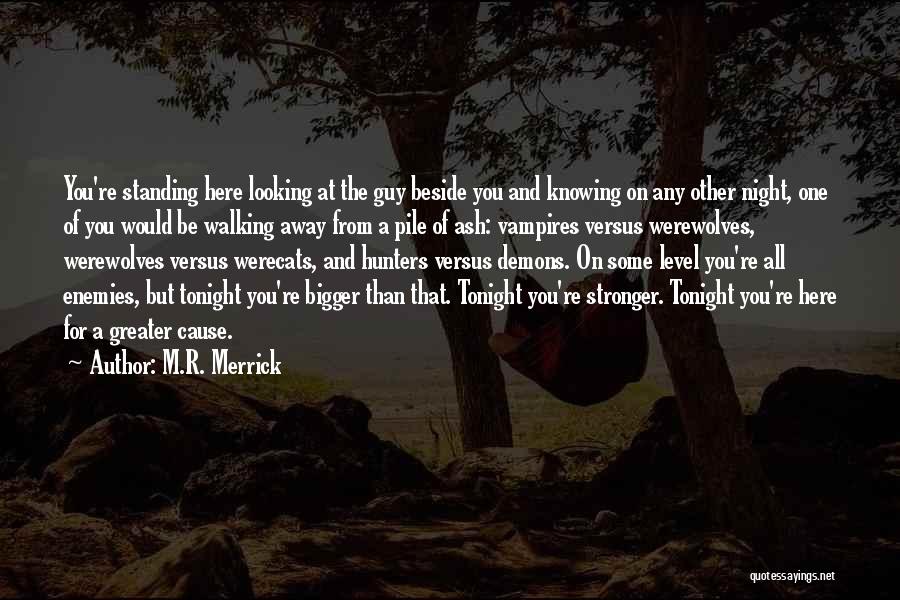 Walking Beside Someone Quotes By M.R. Merrick