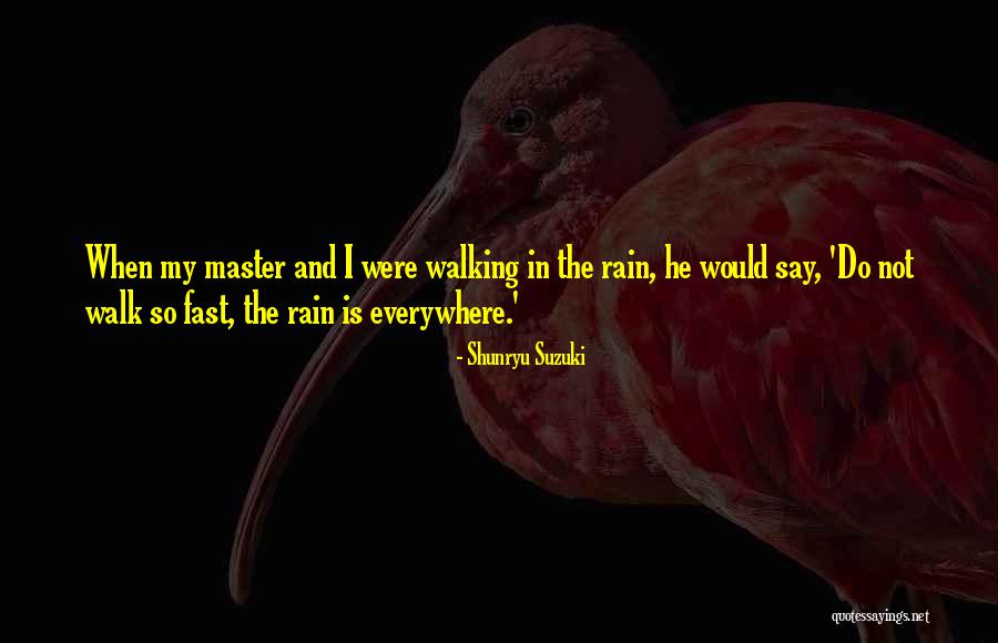 Walking Fast Quotes By Shunryu Suzuki Walking Fast Quotes By Shunryu Suzuki