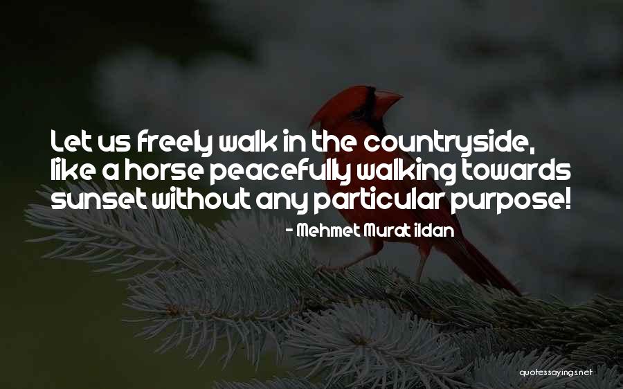 Walking Freely Quotes By Mehmet Murat Ildan