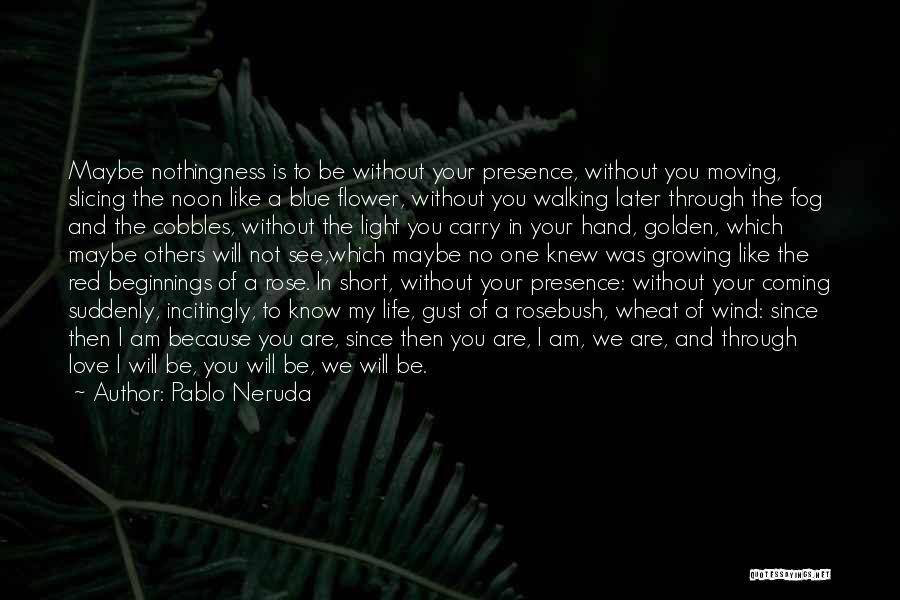 Walking Hand In Hand Quotes By Pablo Neruda