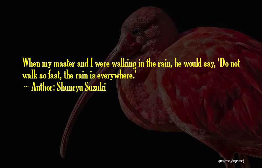 Walking In The Rain Quotes By Shunryu Suzuki