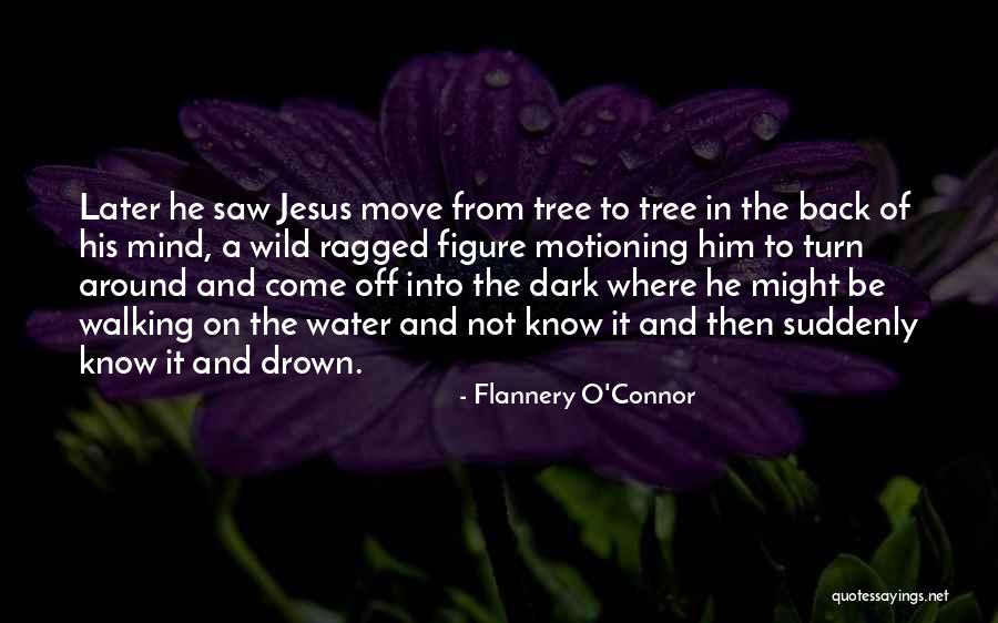 Walking In The Water Quotes By Flannery O'Connor Walking In The Water Quotes By Flannery O'Connor
