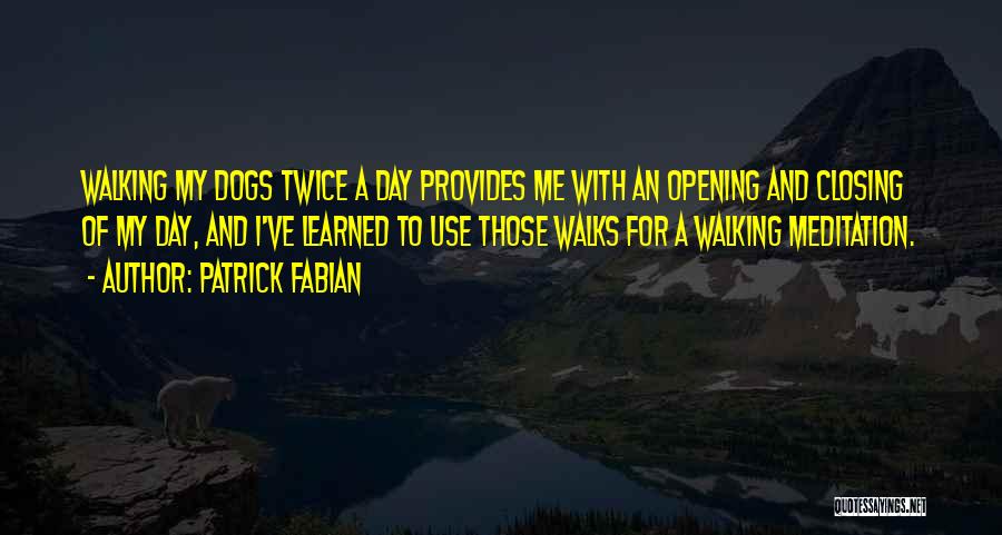 Walking My Dog Quotes By Patrick Fabian