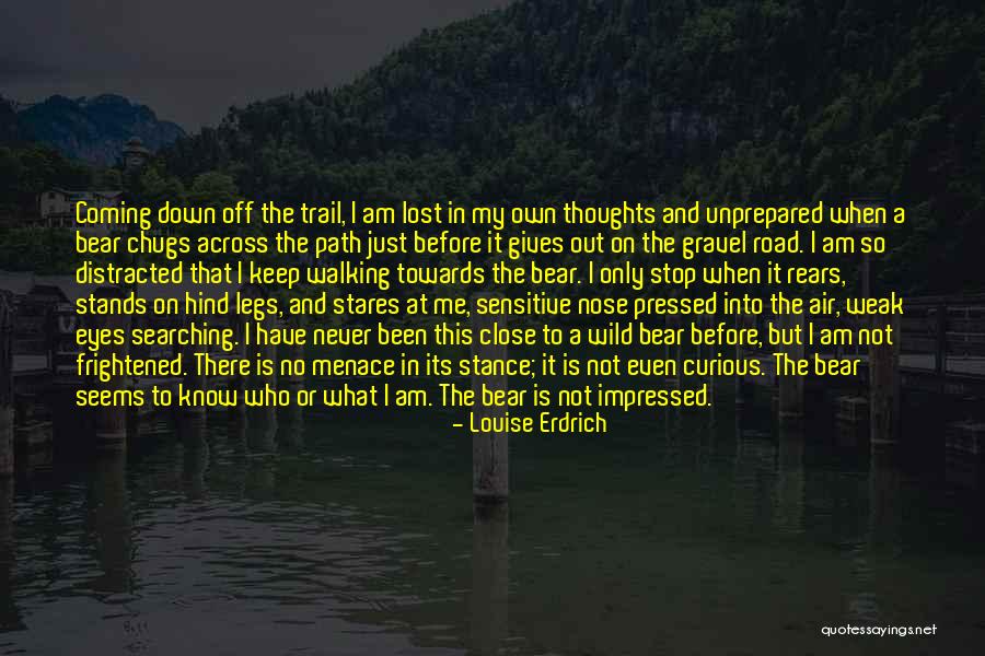 Walking On Road Quotes By Louise Erdrich Walking On Road Quotes By Louise Erdrich