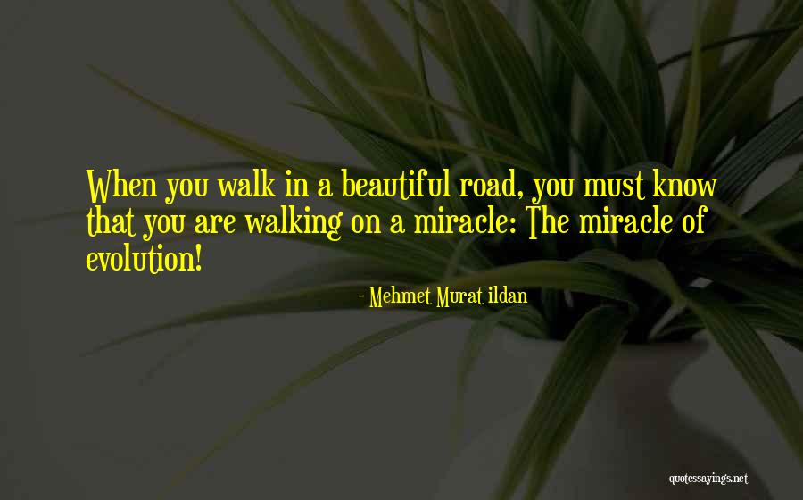 Walking On Road Quotes By Mehmet Murat Ildan Walking On Road Quotes By Mehmet Murat Ildan