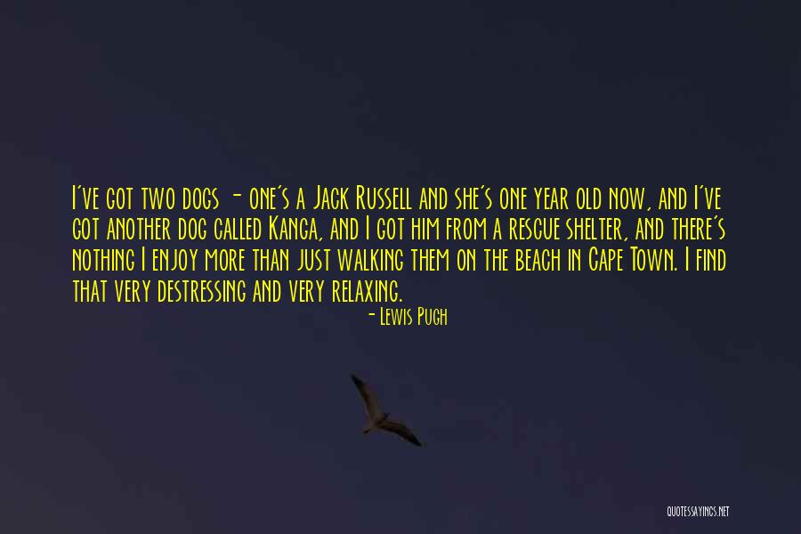 Walking On The Beach Quotes By Lewis Pugh Walking On The Beach Quotes By Lewis Pugh