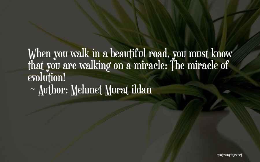 Walking On The Road Quotes By Mehmet Murat Ildan