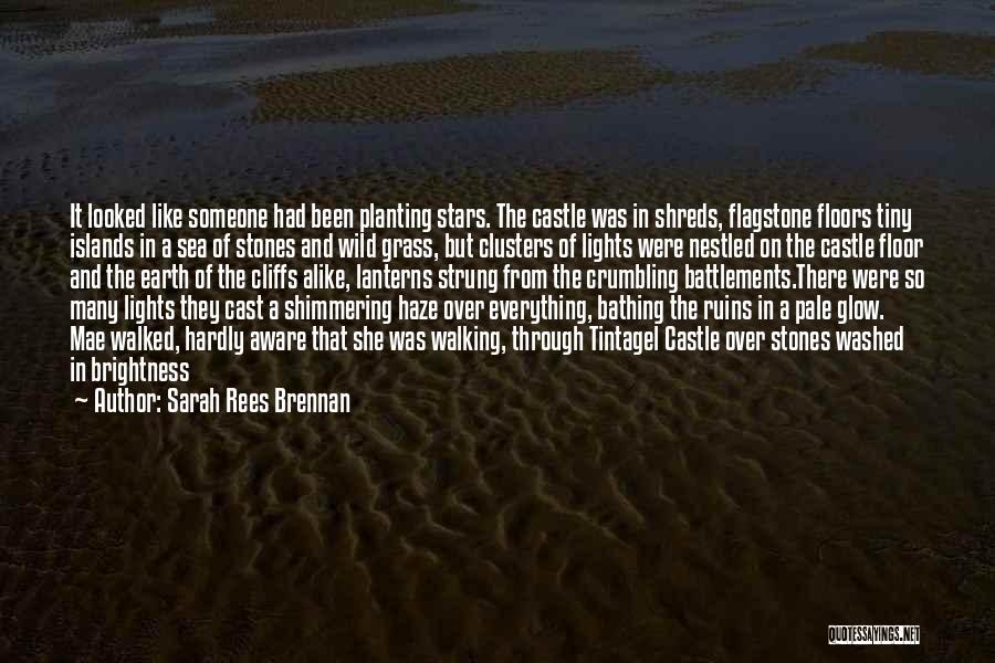 Walking On The Sea Quotes By Sarah Rees Brennan