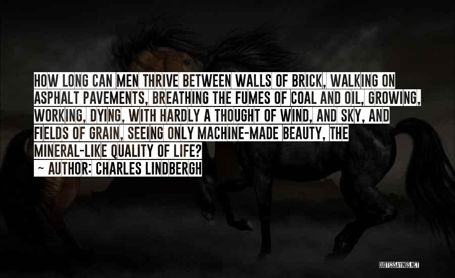 Walking On The Sky Quotes By Charles Lindbergh