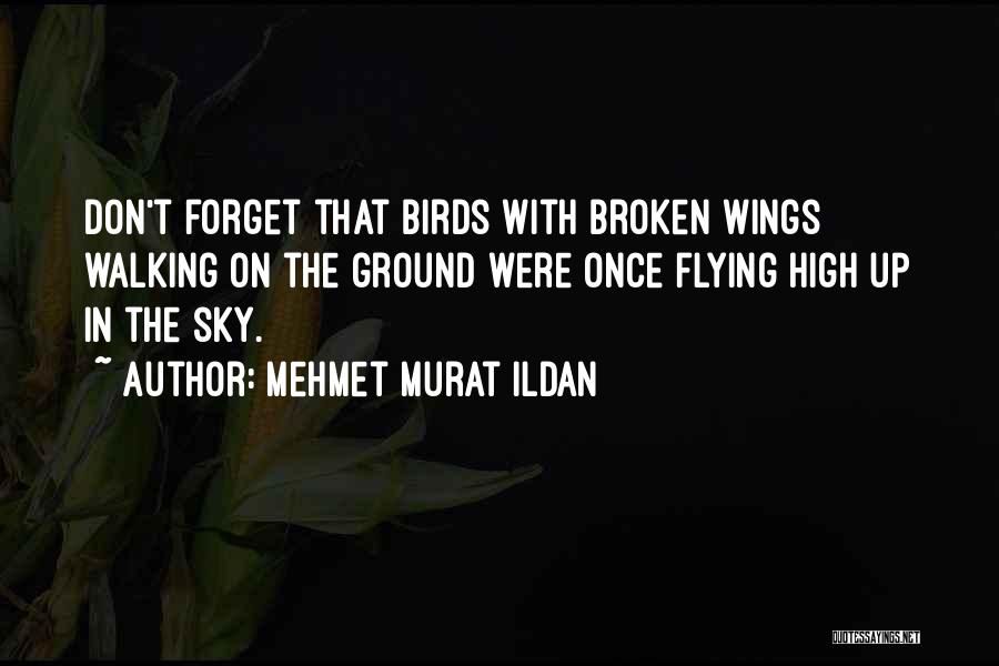 Walking On The Sky Quotes By Mehmet Murat Ildan