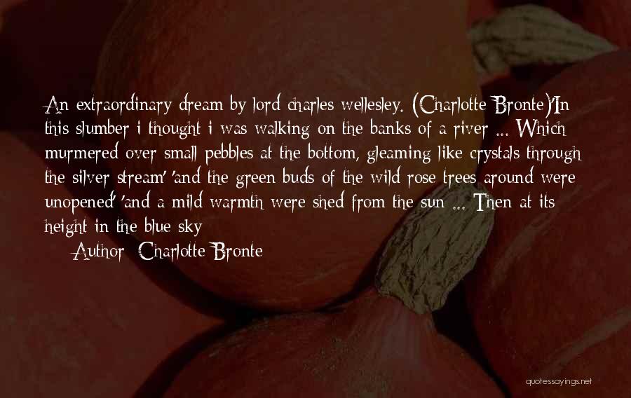 Walking On The Sun Quotes By Charlotte Bronte