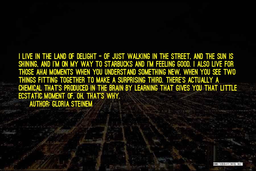 Walking On The Sun Quotes By Gloria Steinem