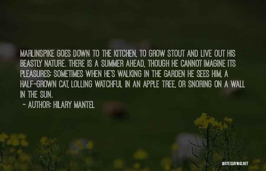 Walking On The Sun Quotes By Hilary Mantel