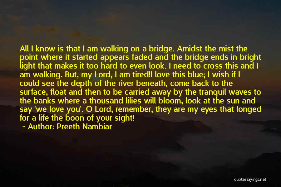 Walking On The Sun Quotes By Preeth Nambiar