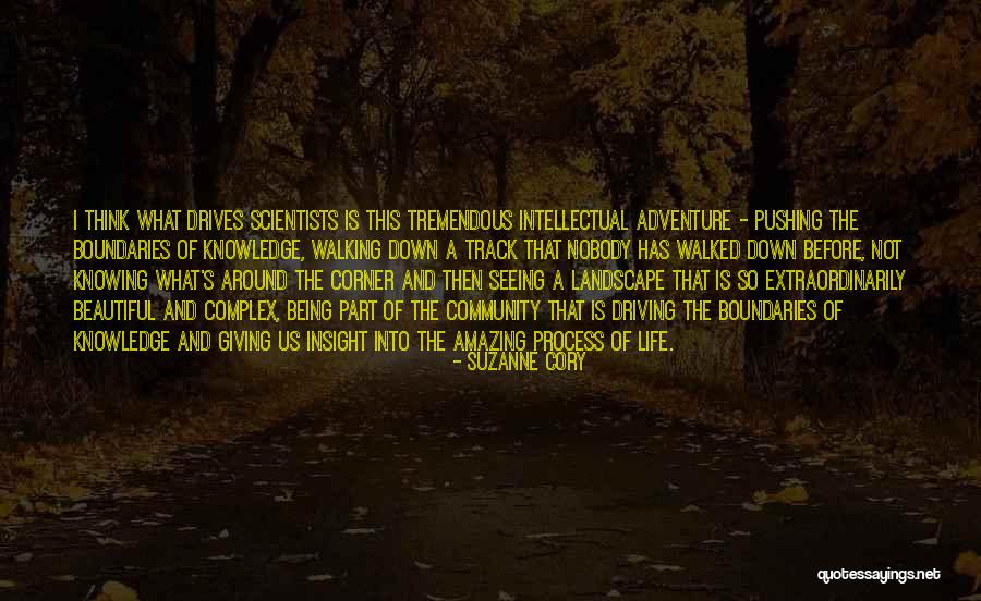 Walking Out Of Someone's Life Quotes By Suzanne Cory Walking Out Of Someone's Life Quotes By Suzanne Cory