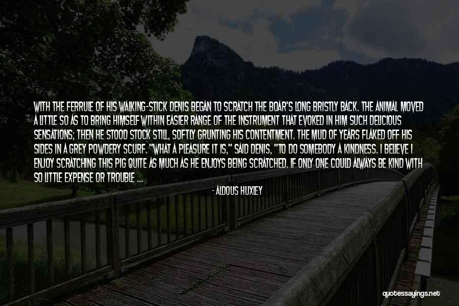 Walking Stick Quotes By Aldous Huxley