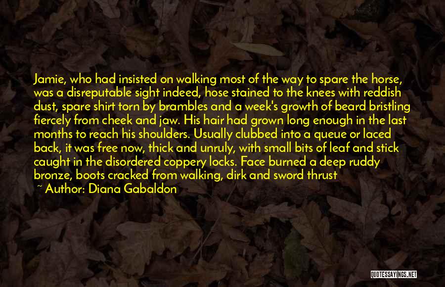 Walking Stick Quotes By Diana Gabaldon
