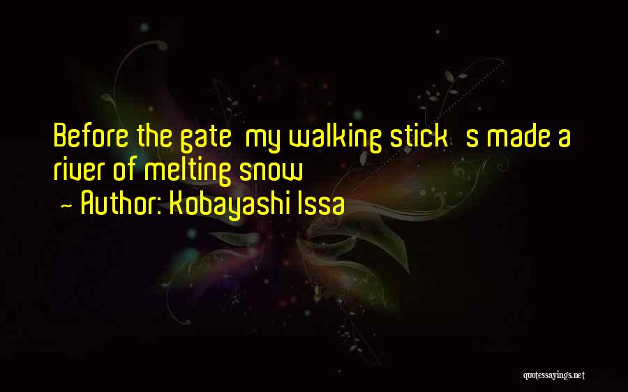 Walking Stick Quotes By Kobayashi Issa