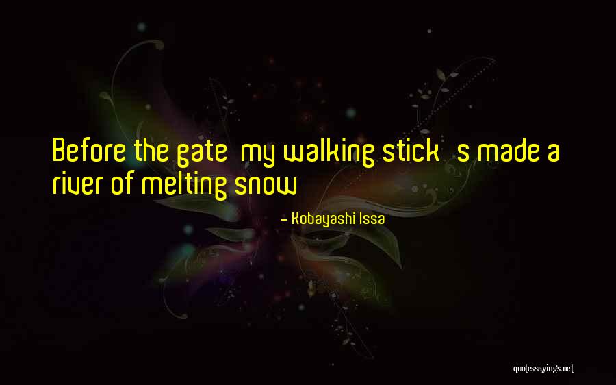 Walking Stick Quotes By Kobayashi Issa