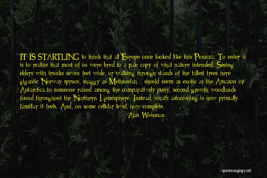 Walking The Amazon Quotes By Alan Weisman Walking The Amazon Quotes By Alan Weisman