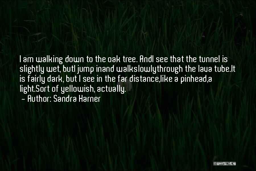 Walking The Distance Quotes By Sandra Harner