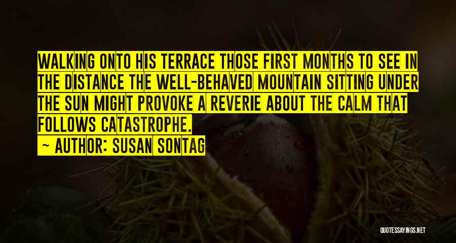 Walking The Distance Quotes By Susan Sontag