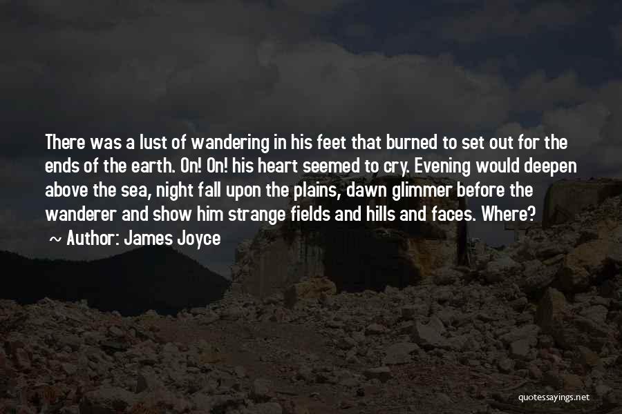 Walking The Earth Quotes By James Joyce