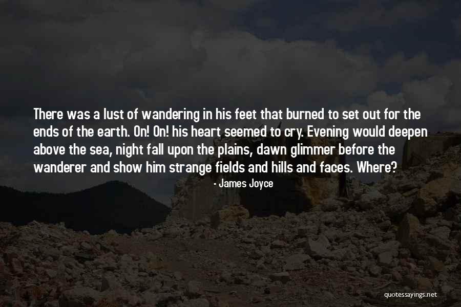 Walking The Earth Quotes By James Joyce