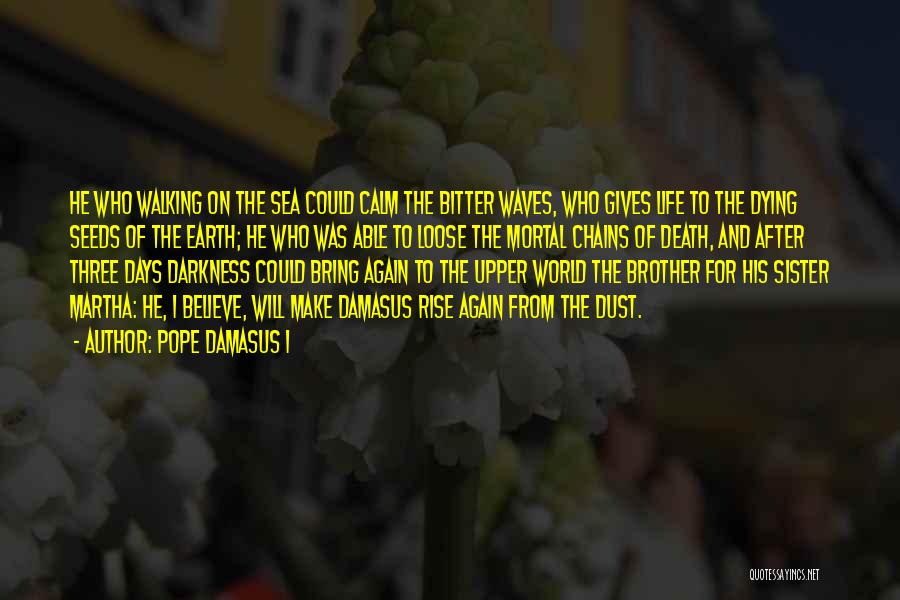 Walking The Earth Quotes By Pope Damasus I
