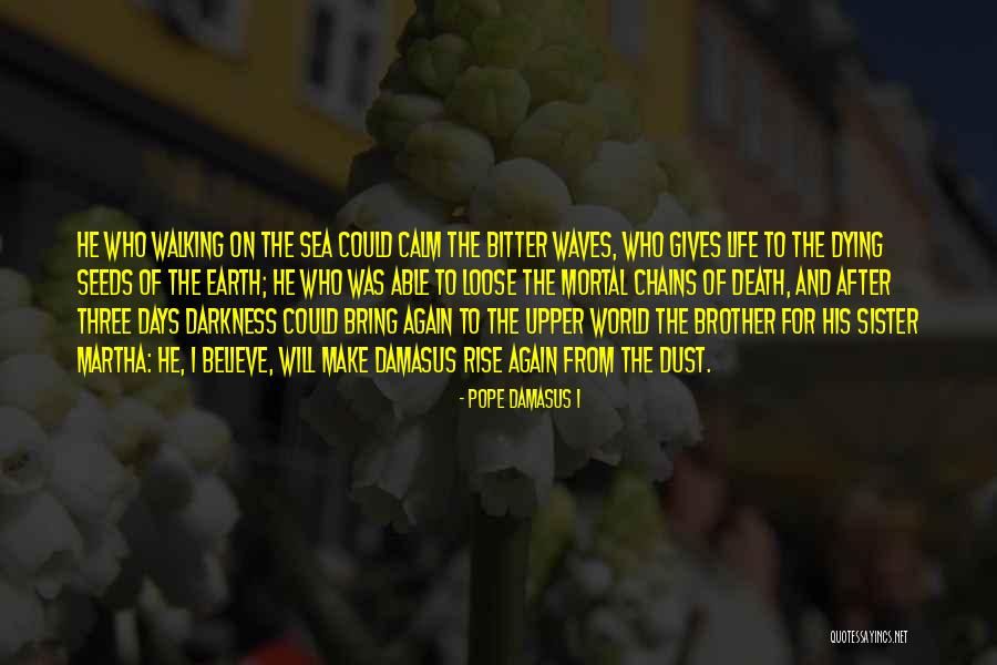 Walking The Earth Quotes By Pope Damasus I Walking The Earth Quotes By Pope Damasus I