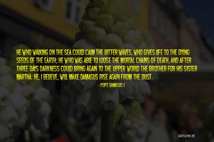 Walking The Earth Quotes By Pope Damasus I