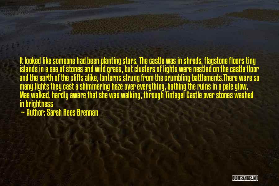 Walking The Earth Quotes By Sarah Rees Brennan