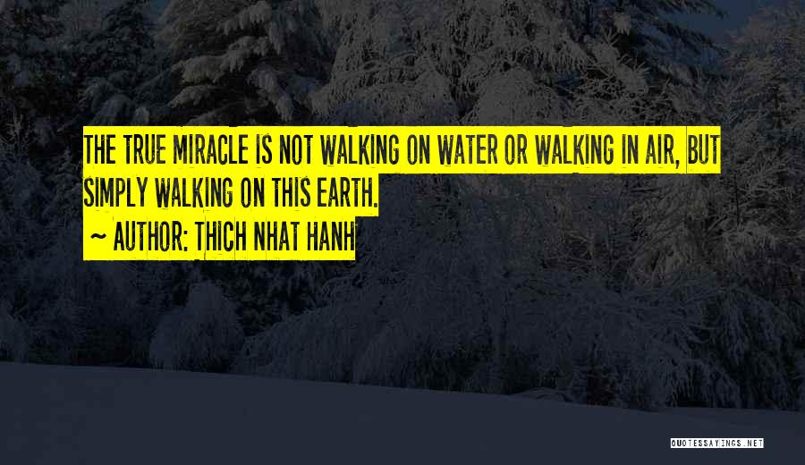 Walking The Earth Quotes By Thich Nhat Hanh