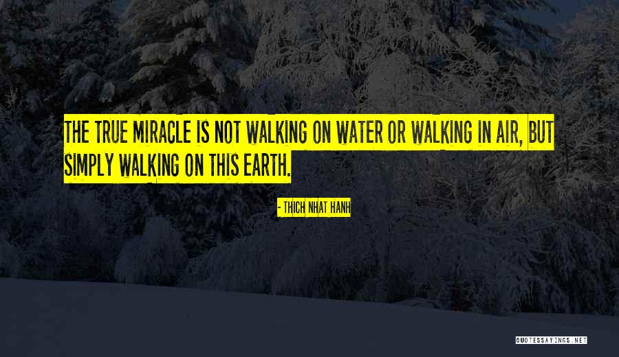 Walking The Earth Quotes By Thich Nhat Hanh