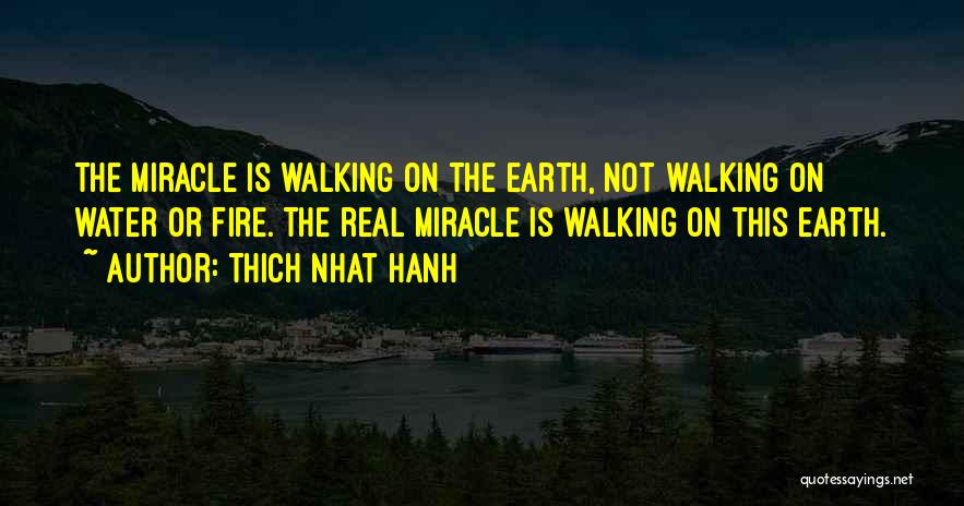 Walking The Earth Quotes By Thich Nhat Hanh