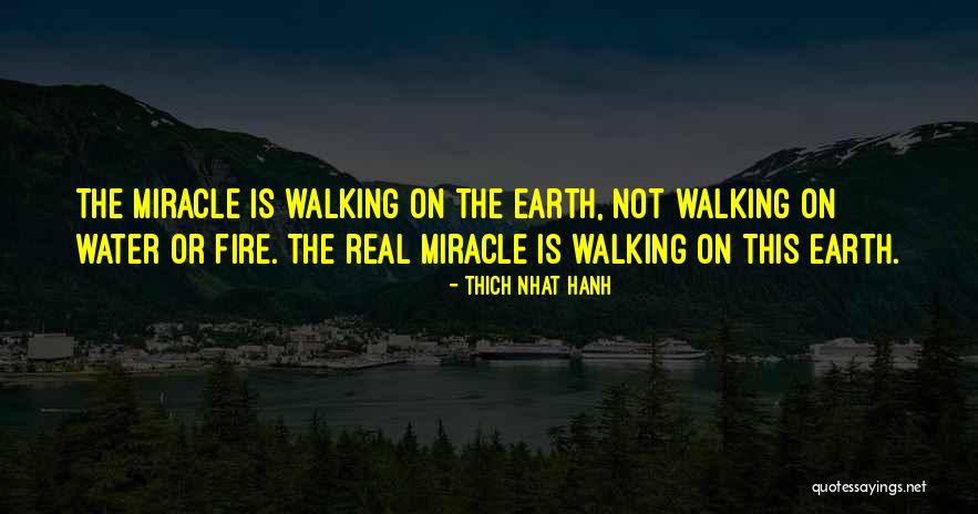 Walking The Earth Quotes By Thich Nhat Hanh Walking The Earth Quotes By Thich Nhat Hanh