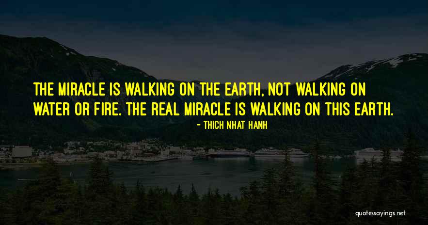 Walking The Earth Quotes By Thich Nhat Hanh