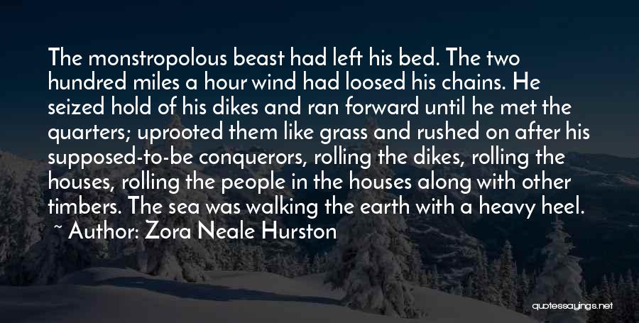 Walking The Earth Quotes By Zora Neale Hurston
