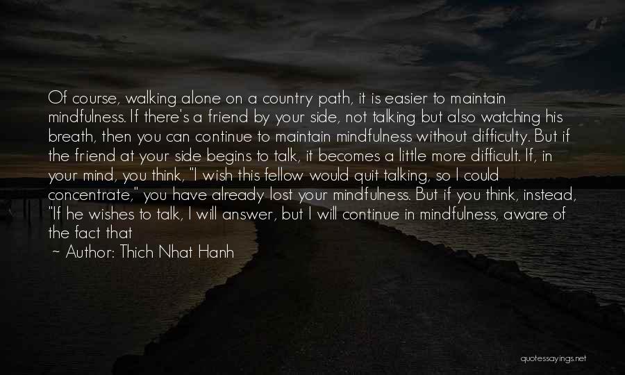 Walking The Path Alone Quotes By Thich Nhat Hanh