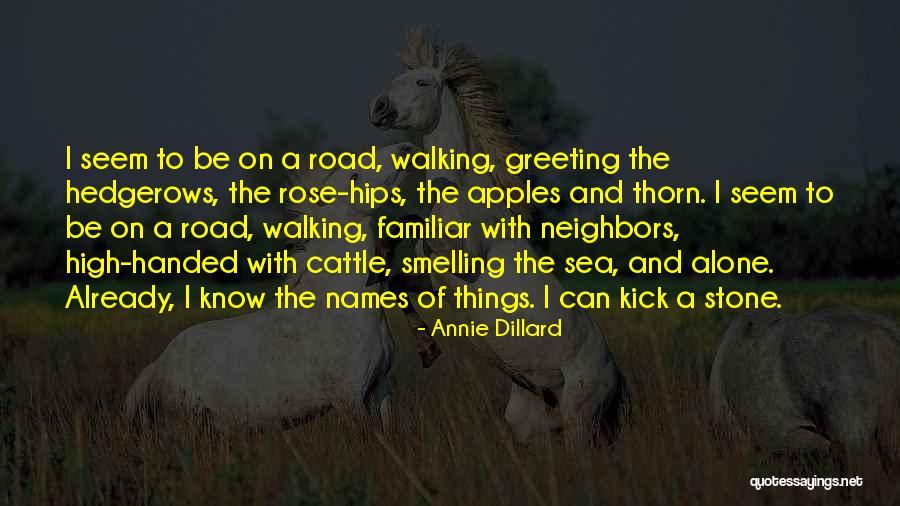 Walking The Road Alone Quotes By Annie Dillard