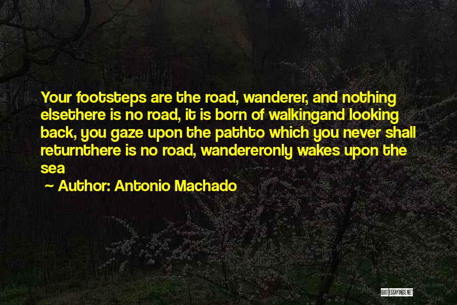 Walking The Road Quotes By Antonio Machado