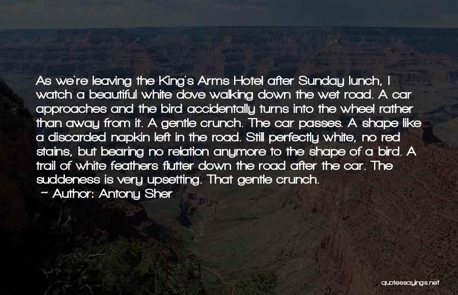 Walking The Road Quotes By Antony Sher