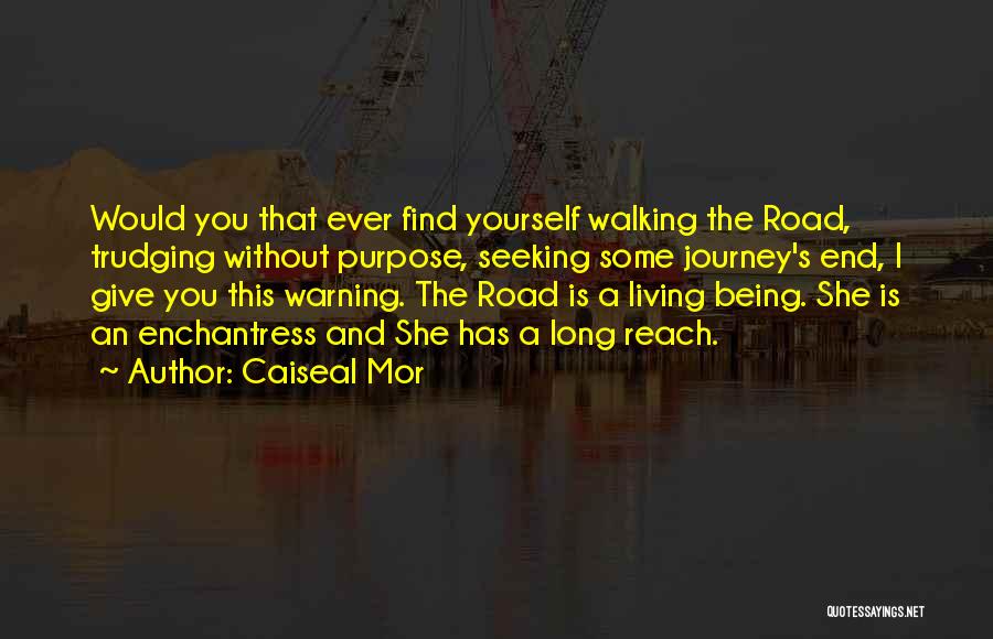 Walking The Road Quotes By Caiseal Mor